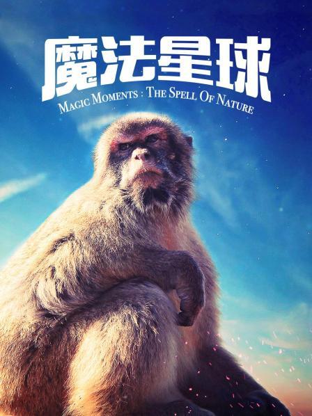 都市情感追更线